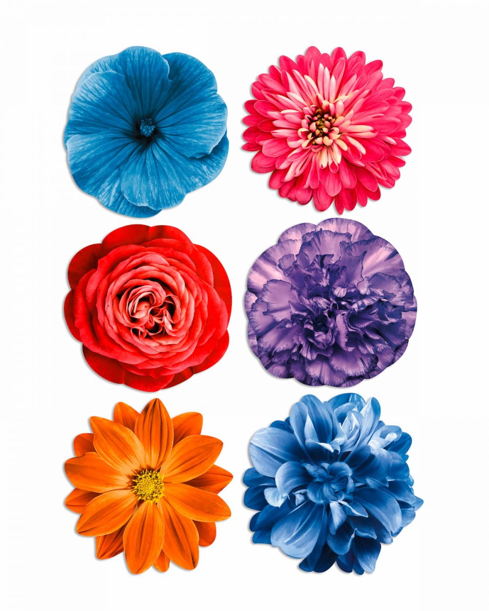 set tovagliette tonde bouquet fiori colori