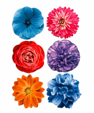 set tovagliette tonde bouquet fiori colori