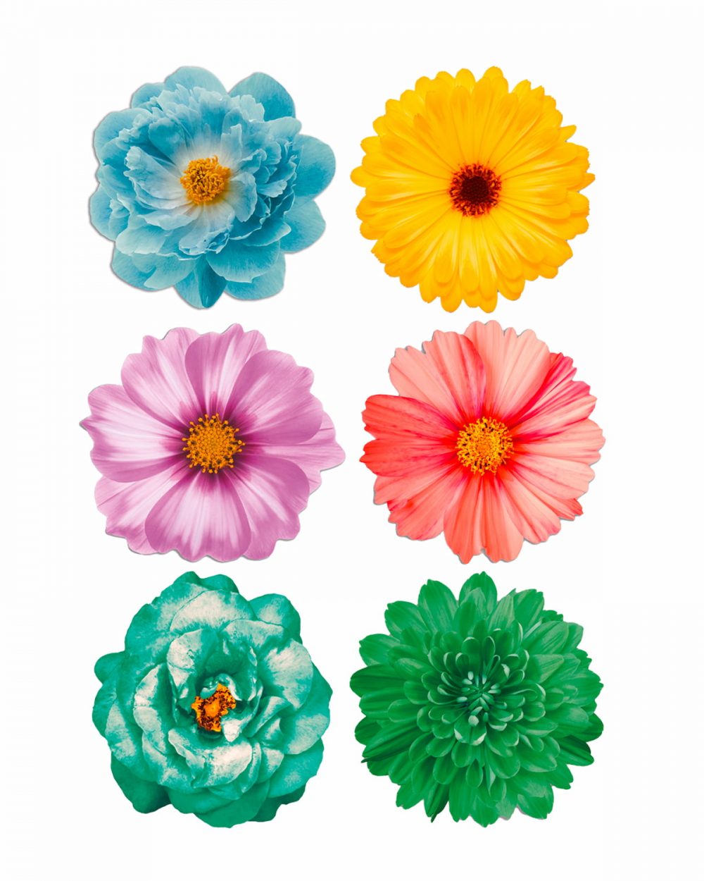 Set tovagliette tonde spring fiori colori