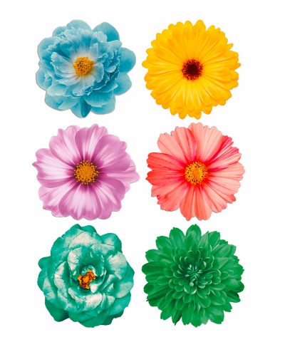 Set tovagliette tonde spring fiori colori