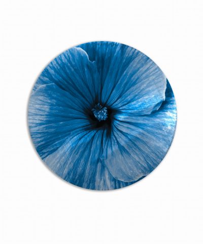 sottopiatto bouquet fiore azzurro