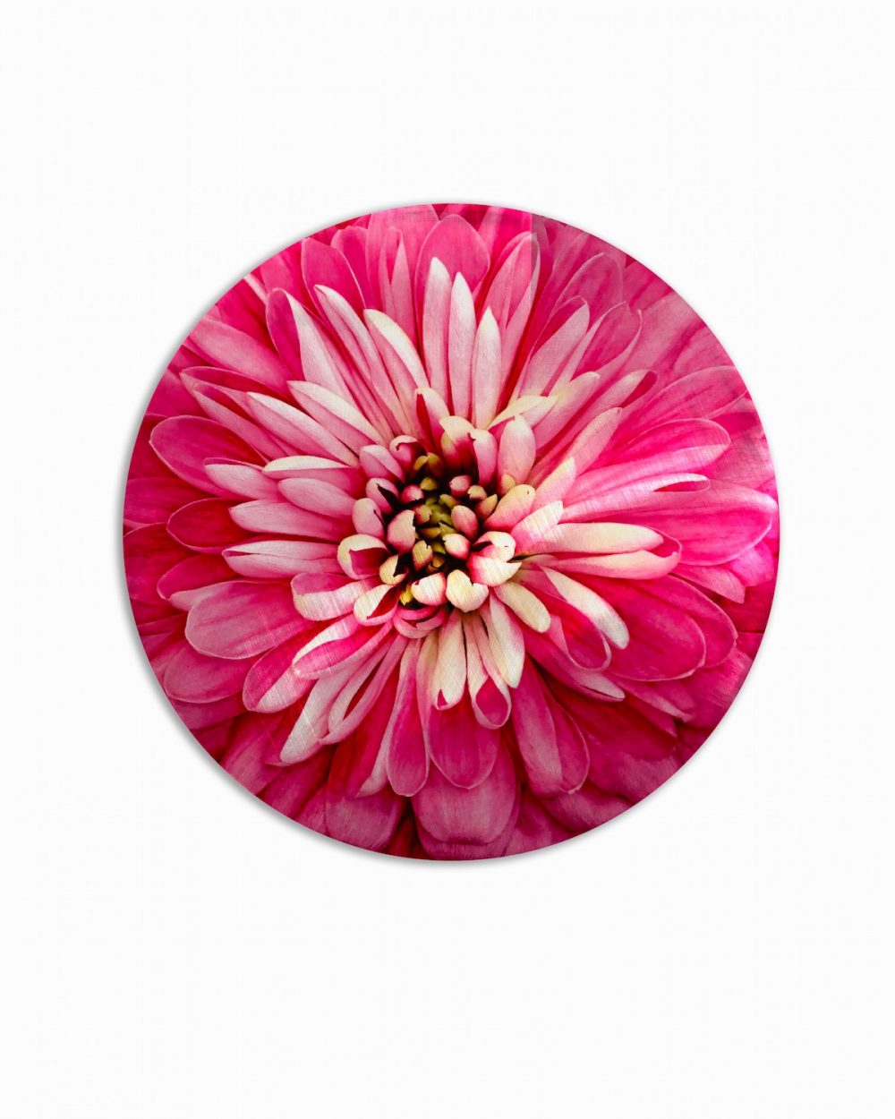 sottopiatto bouquet fiore rosa