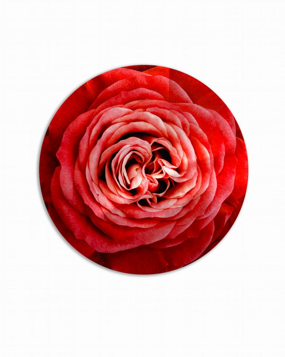 sottopiatto bouquet rosa rossa