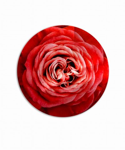 sottopiatto bouquet rosa rossa