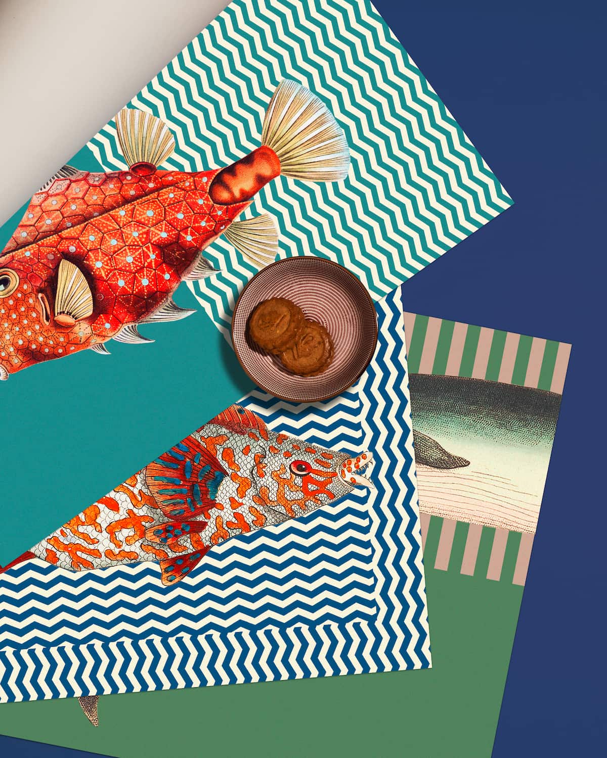 tovagliette-carta-pesci-divertenti-geometrie